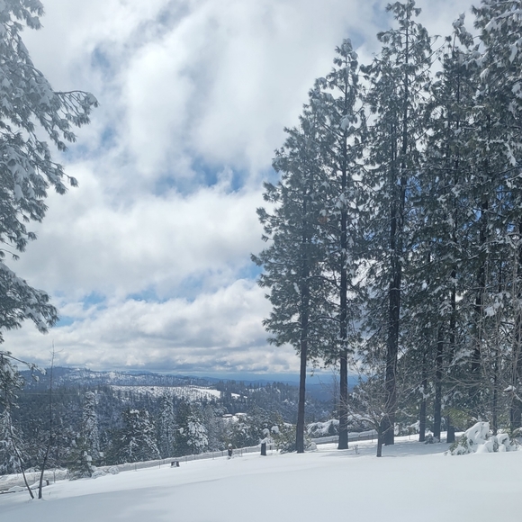 Hi I'm Jen & I โค โพ๏ธ! Say Hi & Let's Get Acquainted! - Picture 15 of 16